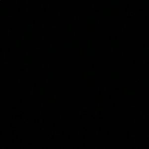 Meet your Posher, Bella